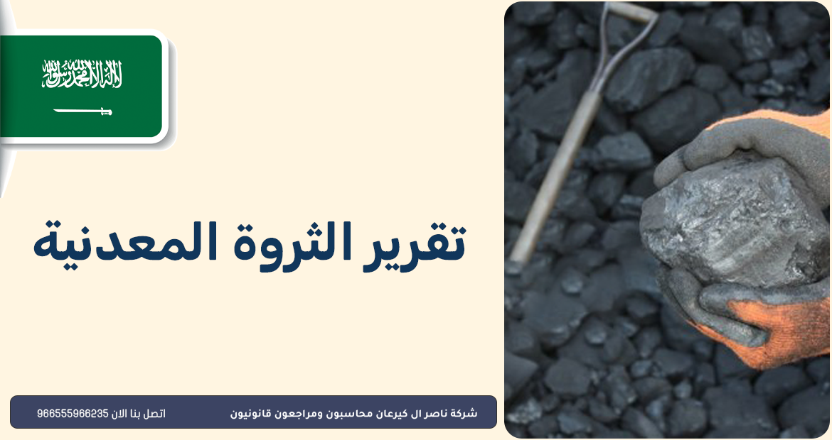 محاسبون ومراجعون قانونيون 41 تقرير الثروة المعدنية